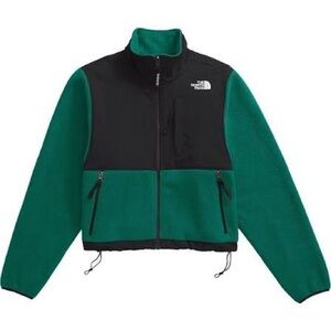 The North Face Retro Denali Green and Black Fleece Jacket
